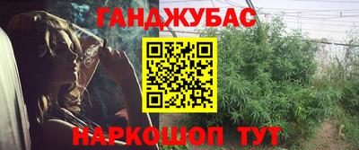ешки Камышлов
