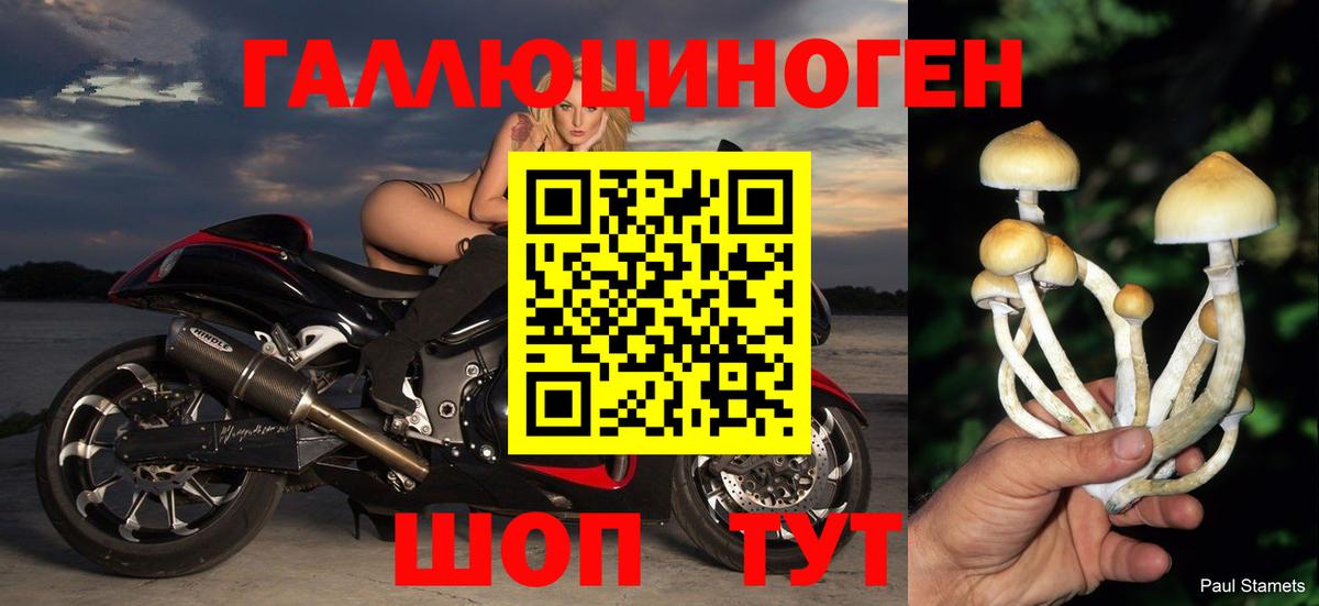 Ивантеевка  купить наркотик  Вход с VPN  Галлюциногенные грибы GOLDEN TEACHER  Псилоцибиновые грибы Magic Shrooms 